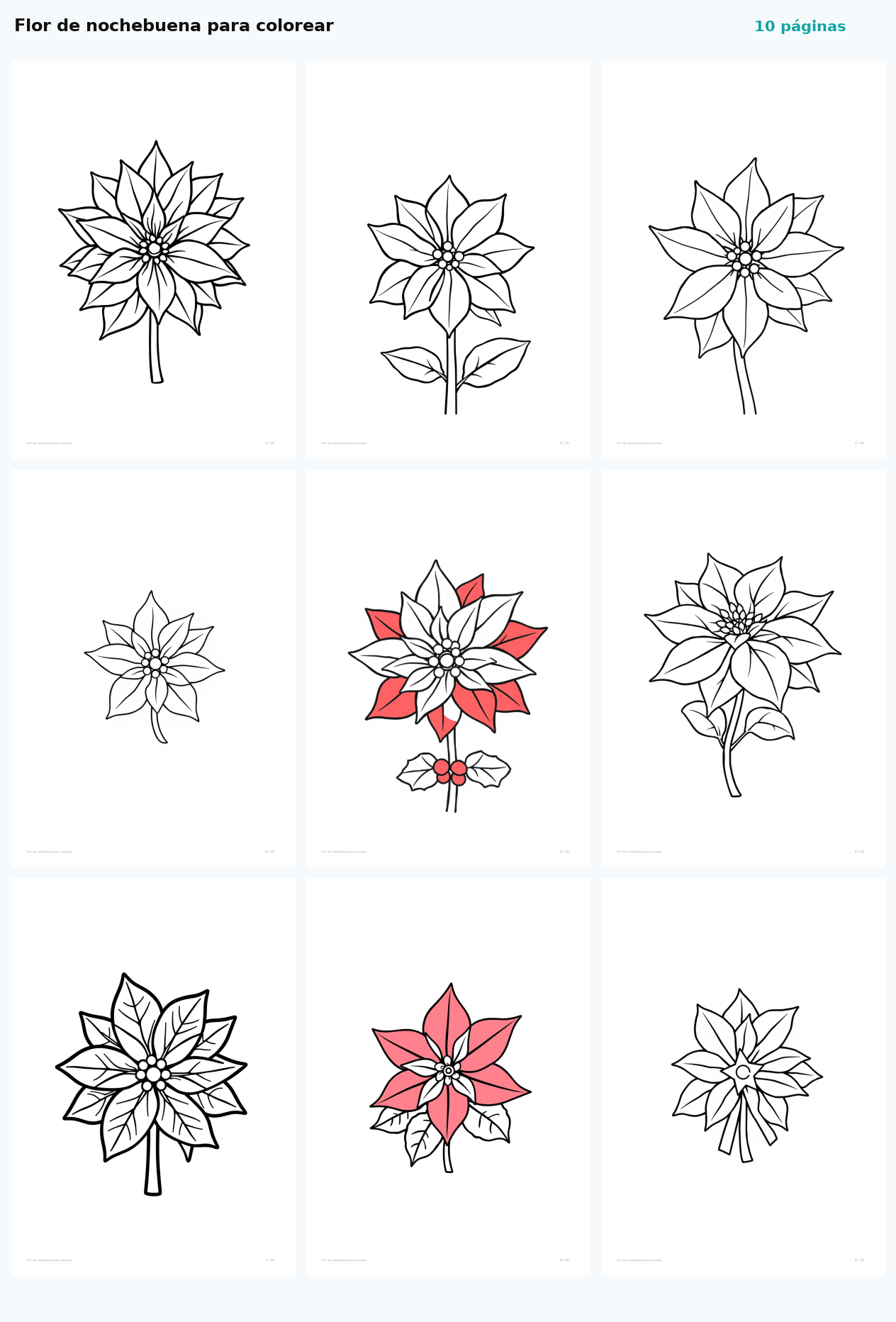 Flor de nochebuena para colorear
