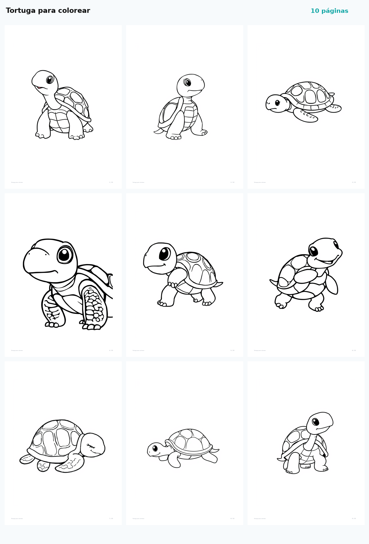 Tortuga para colorear